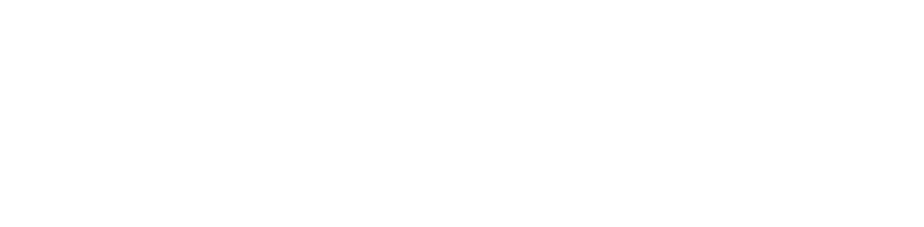 Visa Architect Logo