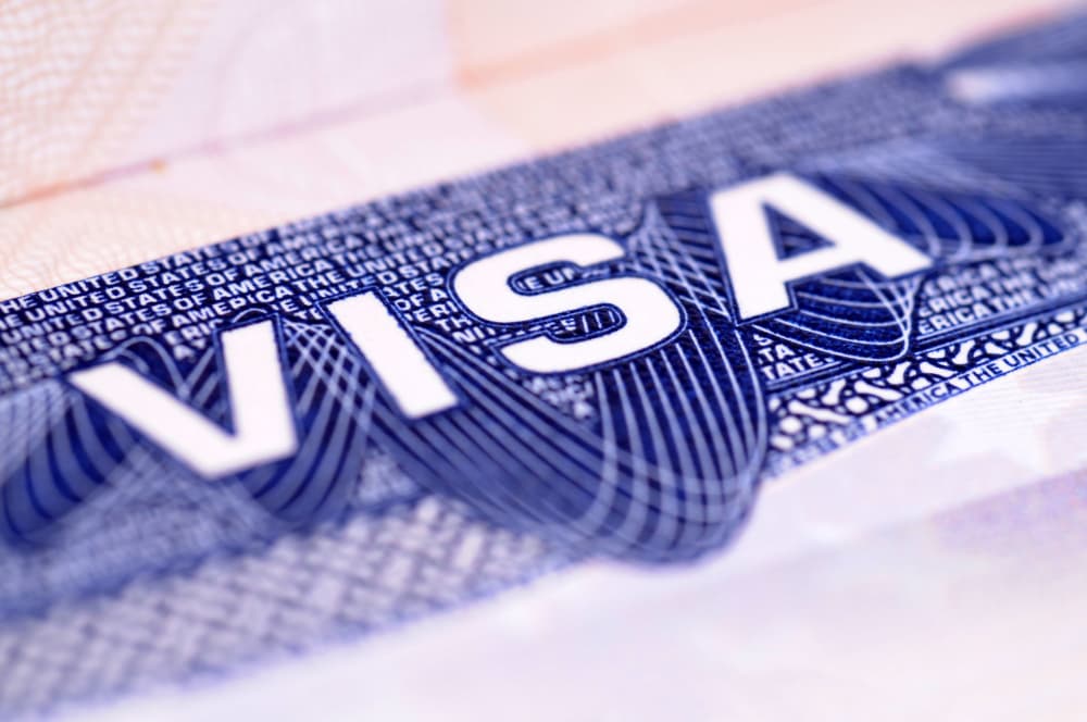 Unravelling the Promise of the US’s High-Skilled Immigration System